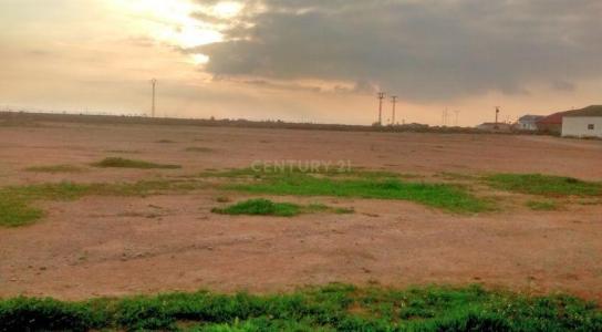 Murcia, Región De Murcia 30592, Spain