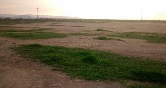 Murcia, Región De Murcia 30592, Spain