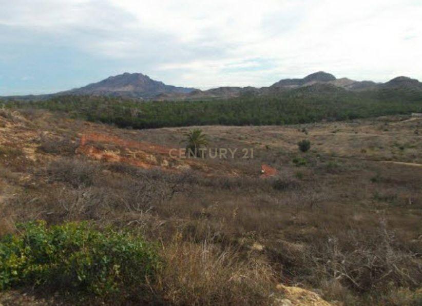 Murcia, Región De Murcia 30163, Spain