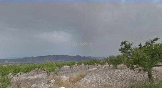 Murcia, Región De Murcia 30163, Spain