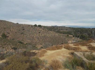 Murcia, Región De Murcia 30163, Spain