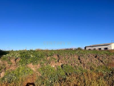 Toledo, Castilla-La Mancha 45592, Spain