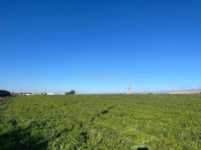 Toledo, Castilla-La Mancha 45592, Spain