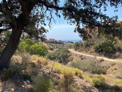 Malaga, Andalucía 29640, Espagne