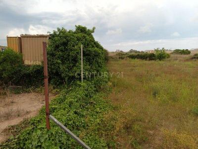 València/Valencia, Comunitat Valenciana 46520, Spain