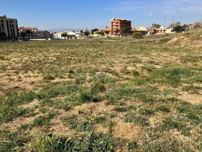 València/Valencia, Comunitat Valenciana 46185, Spain