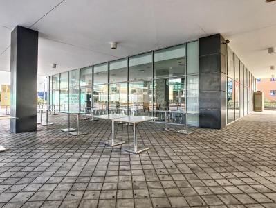 Malaga, Andalucía 29590, Spain