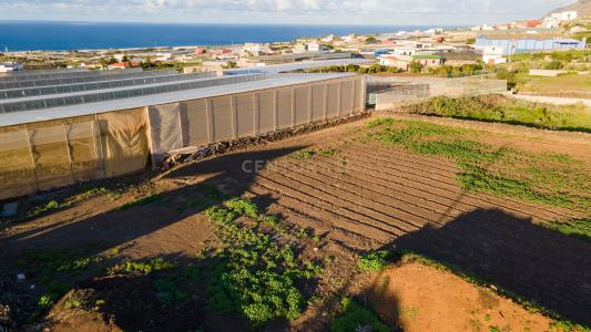 Santa Cruz de Tenerife, Canarias 38260, Spain