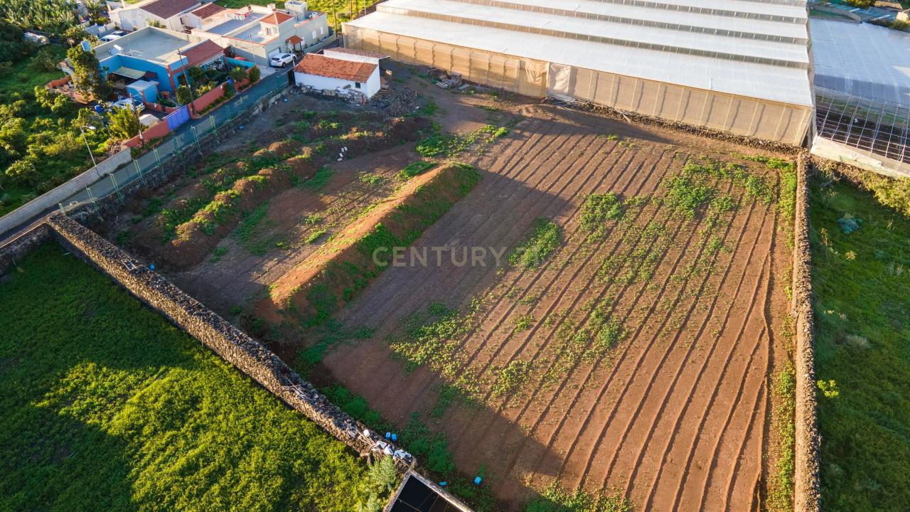 Санта-Крус-де-Тенерифе, Canarias 38260, Испания