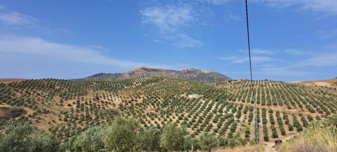 Malaga, Andalucía 29430, Spain