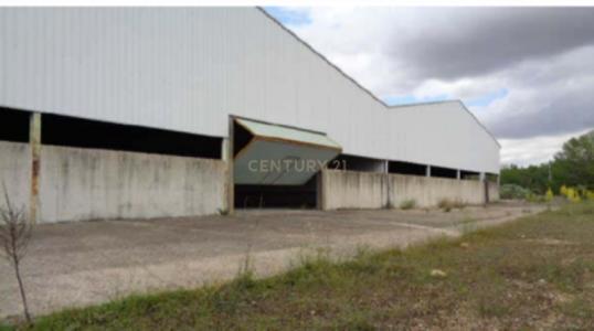 Guadalajara, Castilla-La Mancha 19174, Espanha