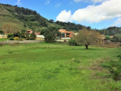 Santa Cruz De Tenerife, Canarias 38209, España