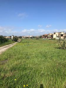 Alcochete, Setubal 2890-551, Portugal