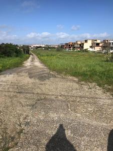 Alcochete, Setúbal 2890-551, Portugal