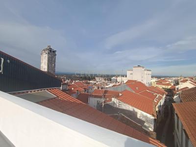 Castelo Branco, Castelo Branco 6000-, Portugal