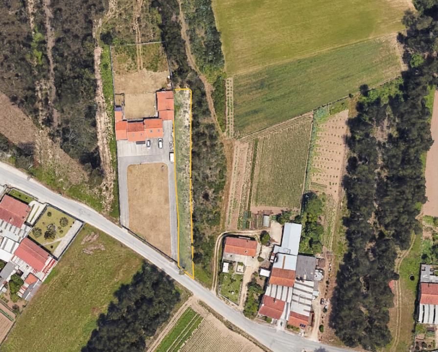 Vagos, Aveiro 3840-507, Portugal