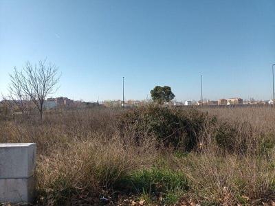 Toledo, Castilla-La Mancha 45600, Spain