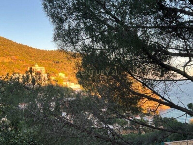 Girona, Cataluña/Catalunya 17246, Spain