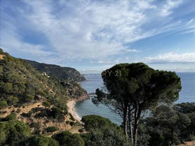 Girona, Cataluña/Catalunya 17246, Spain