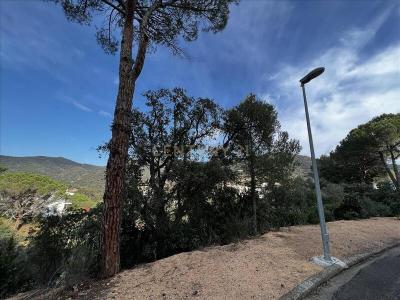 Girona, Cataluña/Catalunya 17246, Spain