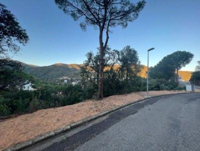 Girona, Cataluña/Catalunya 17246, Spain