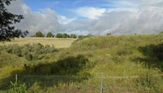 Toledo, Castilla-La Mancha 45593, Spain