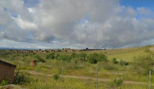 Toledo, Castilla-La Mancha 45593, Spain