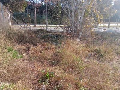 Alacant/Alicante, Comunitat Valenciana 03112, Spain