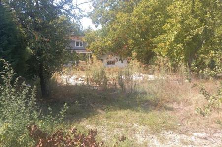 サカリヤ, トルコ