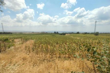 Edirne, Thổ Nhĩ Kỳ