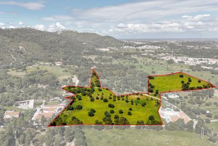 세투발, 세투발 2900-467, 포르투갈