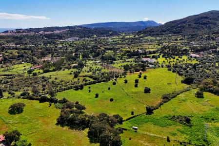 세투발, 세투발 2900-467, 포르투갈