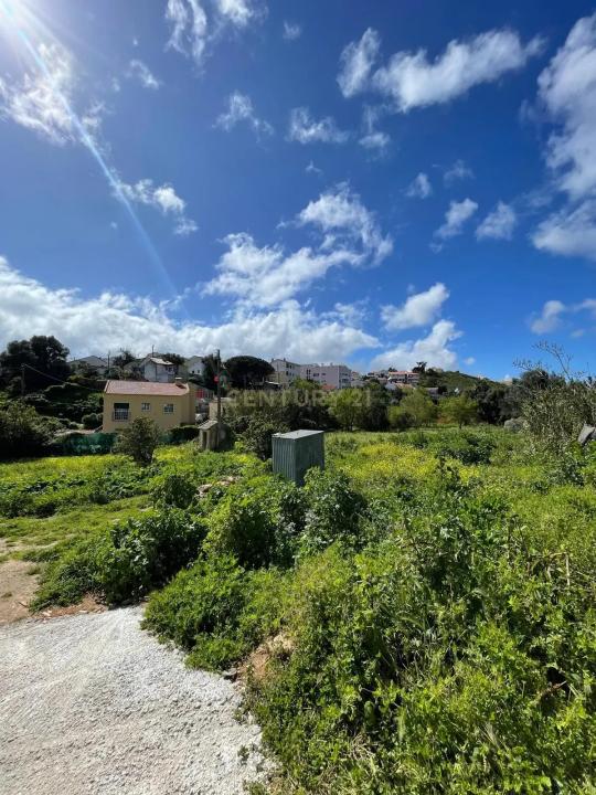 Cascais, Lisboa 2765-041, Portugal