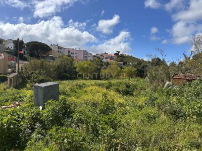 Cascais, Lisboa 2765-041, Portugal