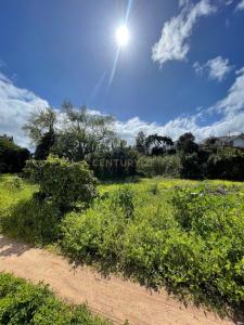 Cascais, Lisboa 2765-041, Portugal
