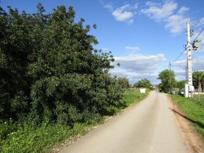 Silves, פארו 8365-083, פורטוגל