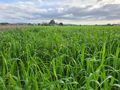 Moita, Setubal 2950-550, Portugal