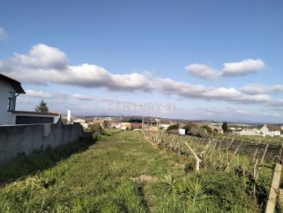 Aveiro, Aveiro 3800-065, Portugalia