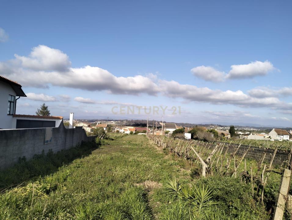 Aveiro, Aveiro 3800-065, Portogallo