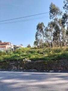 Aveiro, Aveiro 3800-851, Portugalia