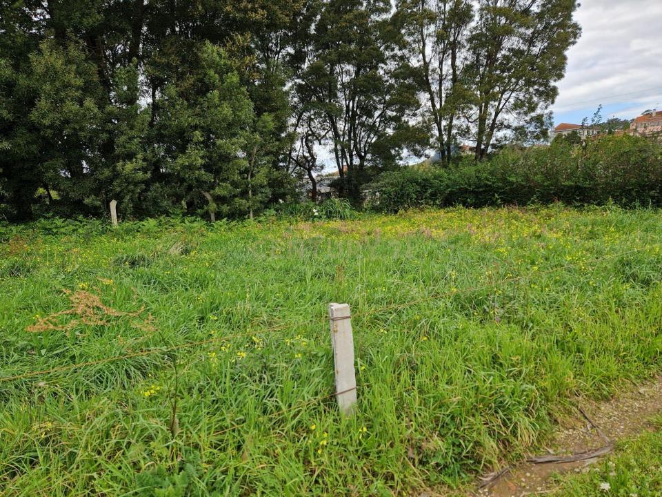 Espinho, Aveiro 4500-421, Portugal