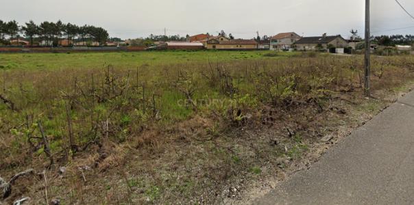 Vagos, Aveiro 3840-166, Portugal