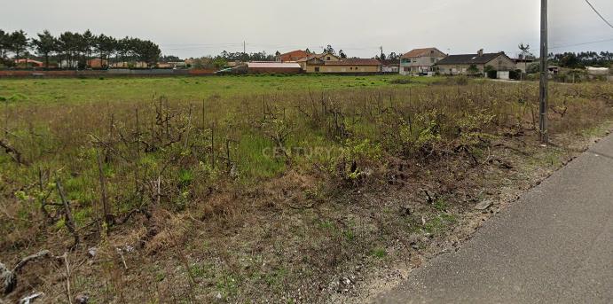 Vagos, Aveiro 3840-166, Portugal