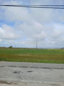 Torres Vedras, Lisboa 2560-191, Portugal