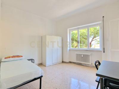 Via Gorgona, Roma, Lazio 00139, İtalya