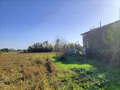 via g.matteotti, San Biagio Di Callalta, Veneto 31048, Italy
