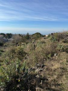 Belpasso, Sicilia 95032, Italy