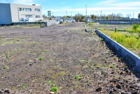 Aci Sant'Antonio, Sicilia 95025, 義大利