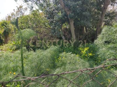 Aci Sant'Antonio, Sicilia 95025, 義大利