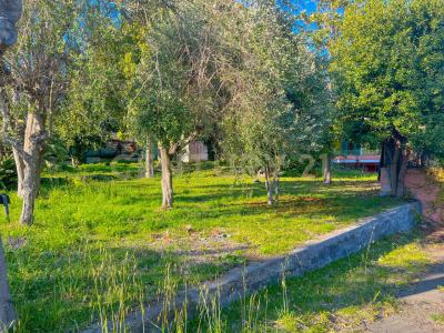 Acireale, Sicilia 95024, Ý